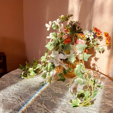 度假居 La Rosa Di Langa - Charming Panoramic House