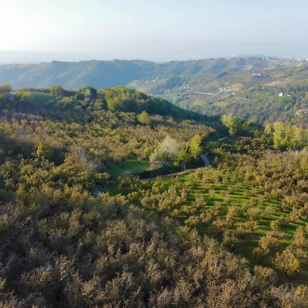 La Rosa Di Langa - Charming Panoramic House * Albaretto Della Torre