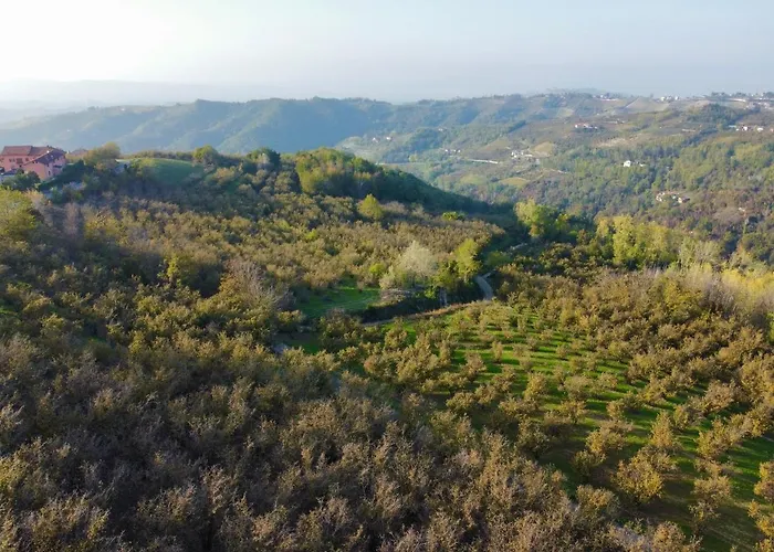 La Rosa Di Langa - Charming Panoramic House * Albaretto della Torre